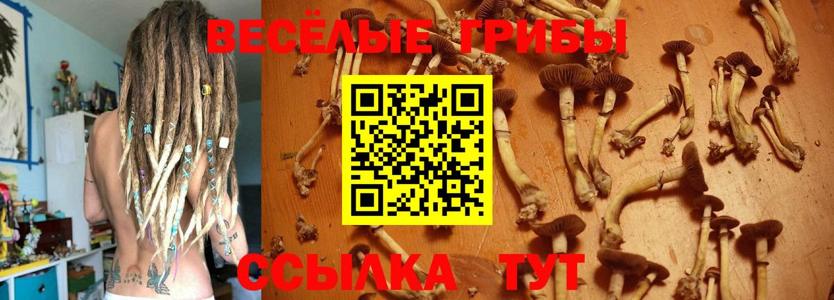 Белово  Псилоцибиновые грибы мицелий  Вход с VPN 